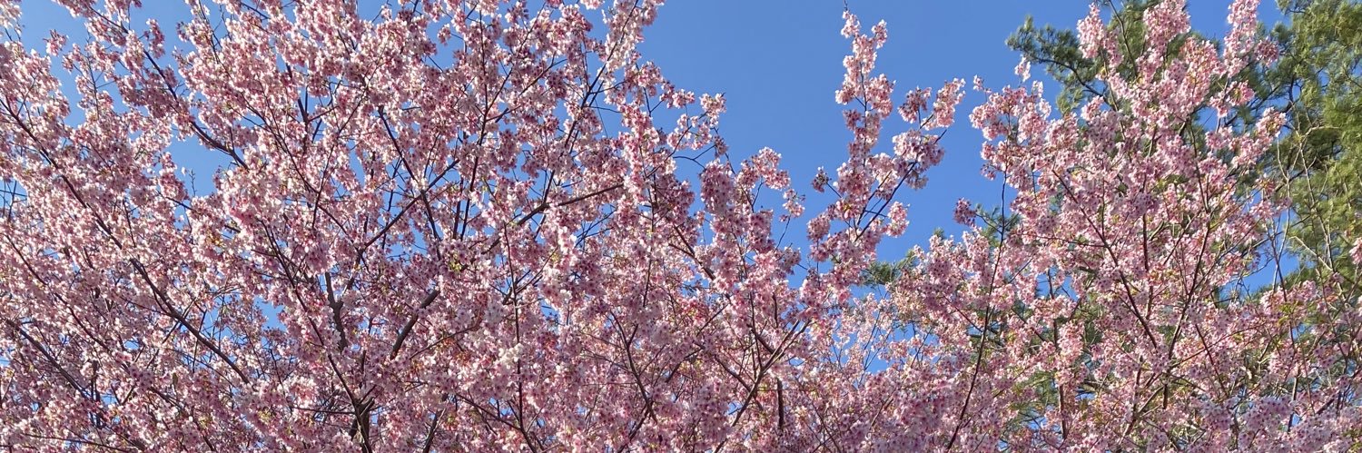 柊木智貴 banner
