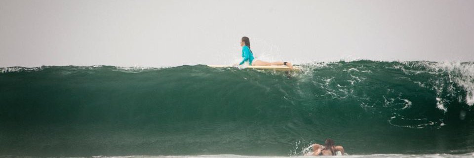 DeniseSWoods's profile banner image