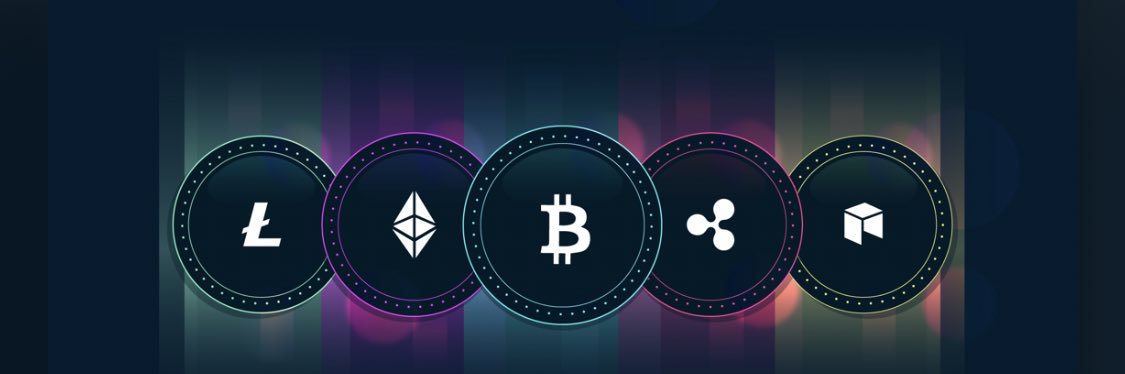 XRPBURM's profile banner image