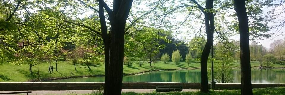 sonomanX's profile banner image