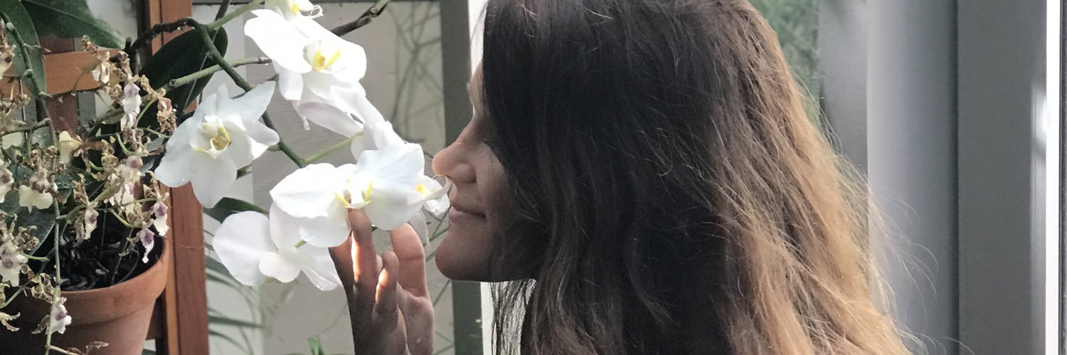 coleschmuck's profile banner image