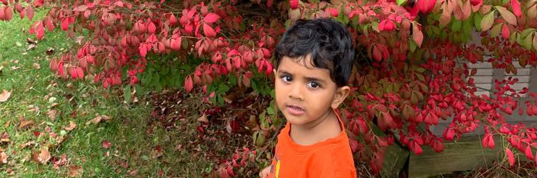 viraj_nim's profile banner image