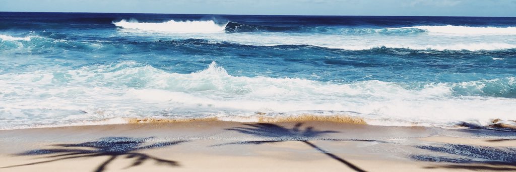 caitlinns2's profile banner image