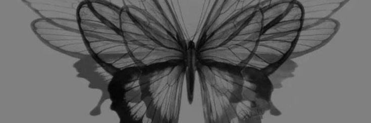 AurilCat's profile banner image