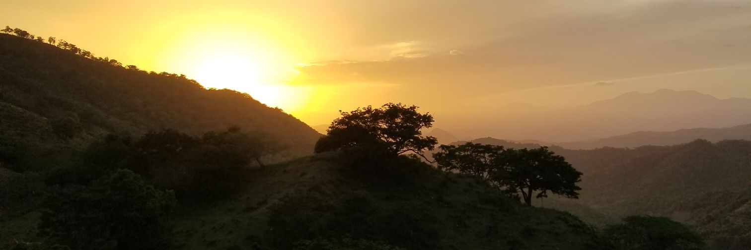 Gloria María Canó banner