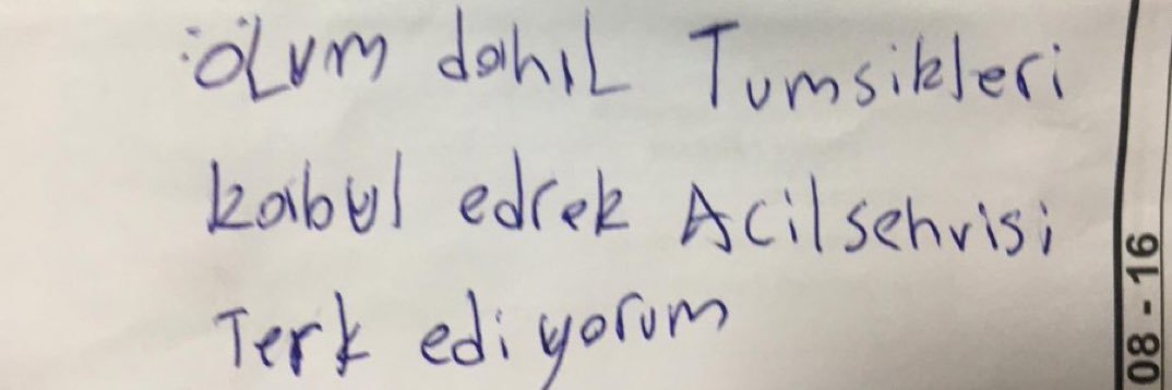 özge mert banner