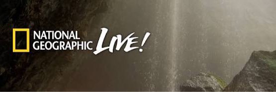 mlhtkl's profile banner image