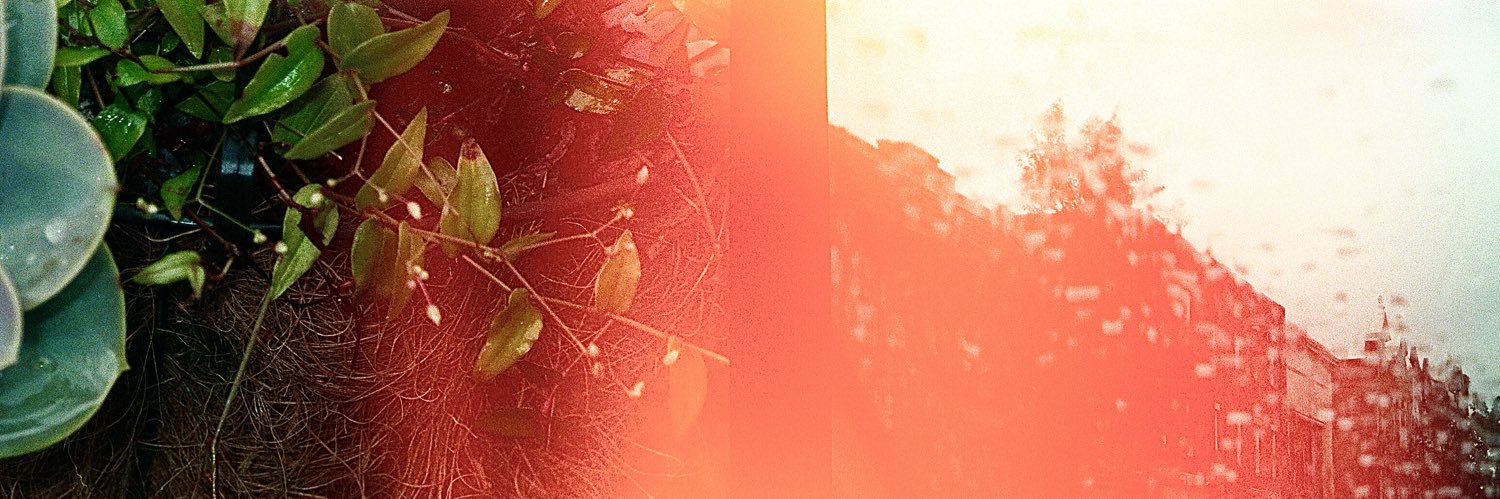 __lynnei's profile banner image