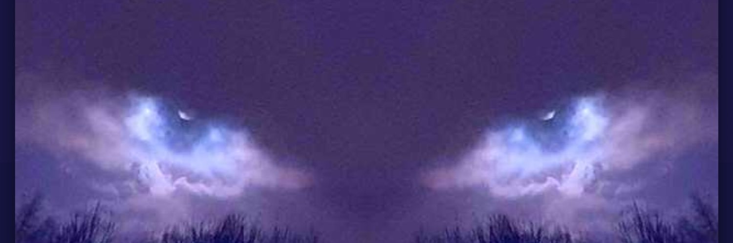 G SHREDDington banner