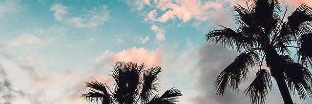 monidonni's profile banner image