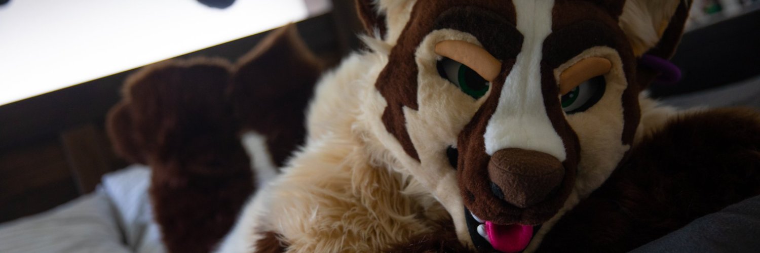 KurzBadger's profile banner image