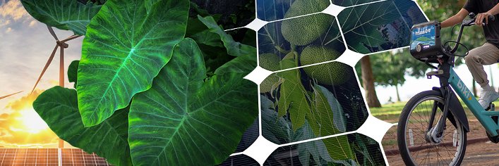 Ulupono Initiative banner