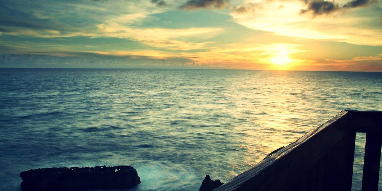 DaphneLiou's profile banner image