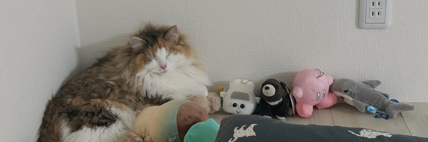 🐈 banner
