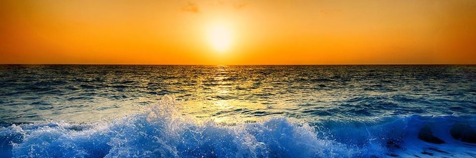 AlexanderArskov's profile banner image