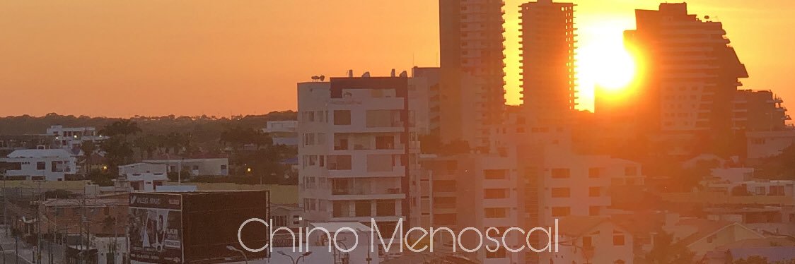 José Luis Menoscal banner