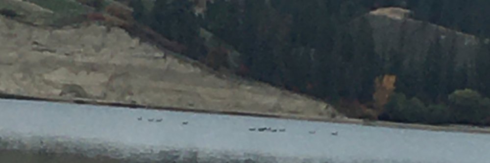 Debbie-Living To Giving banner