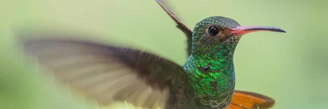 Jodasem's profile banner image
