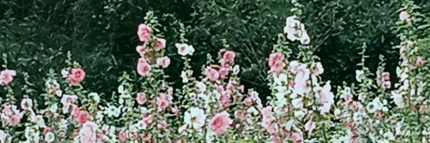夏希 banner