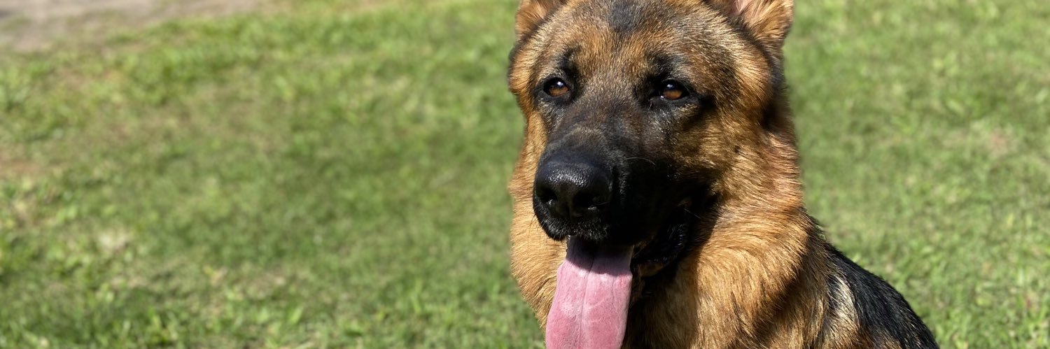 BruhBof's profile banner image