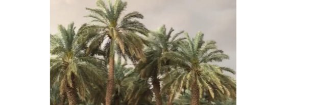 naifsh30's profile banner image