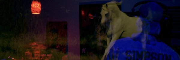 BigKahunaOG Profile Banner