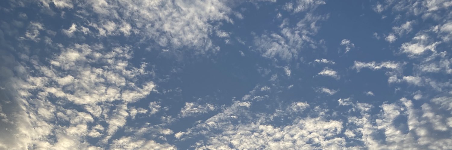 padituit's profile banner image