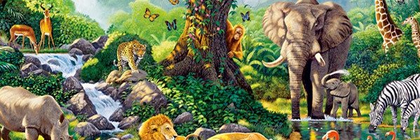 miguel lopez banner