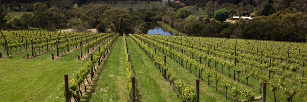 10XTractor Profile Banner