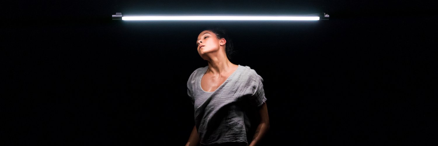 AnneFloreDanse's profile banner image