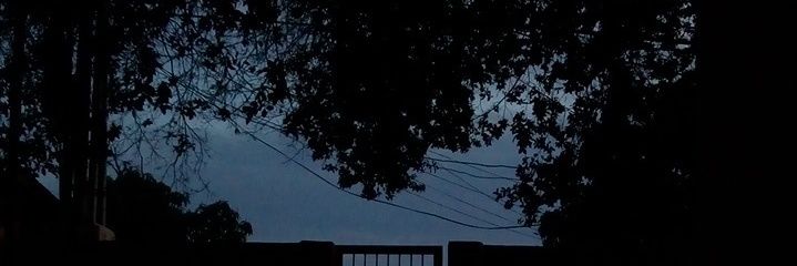 gervyslevi's profile banner image