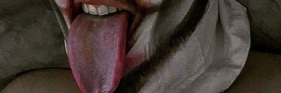 DeadTheyThem's profile banner image