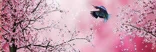 Alleedeen's profile banner image