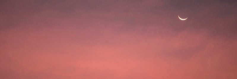 camila lunática 🌺 banner
