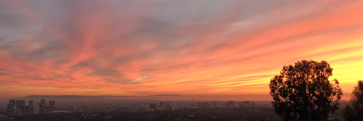 MichelleOglevie's profile banner image