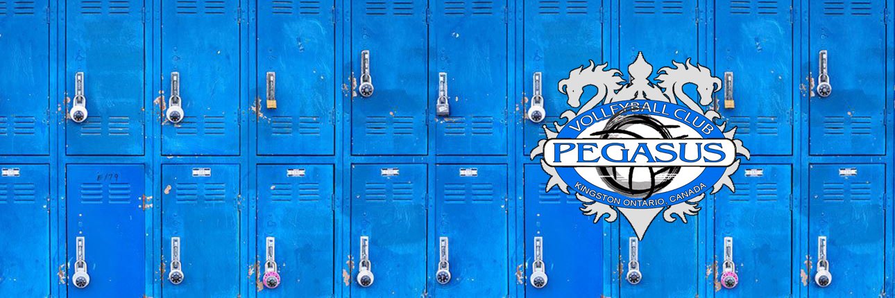 pegasusvball's profile banner image