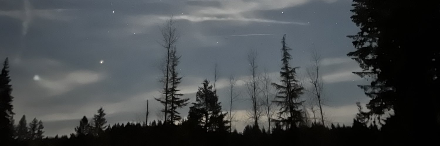 GrizzlyAnderson's profile banner image