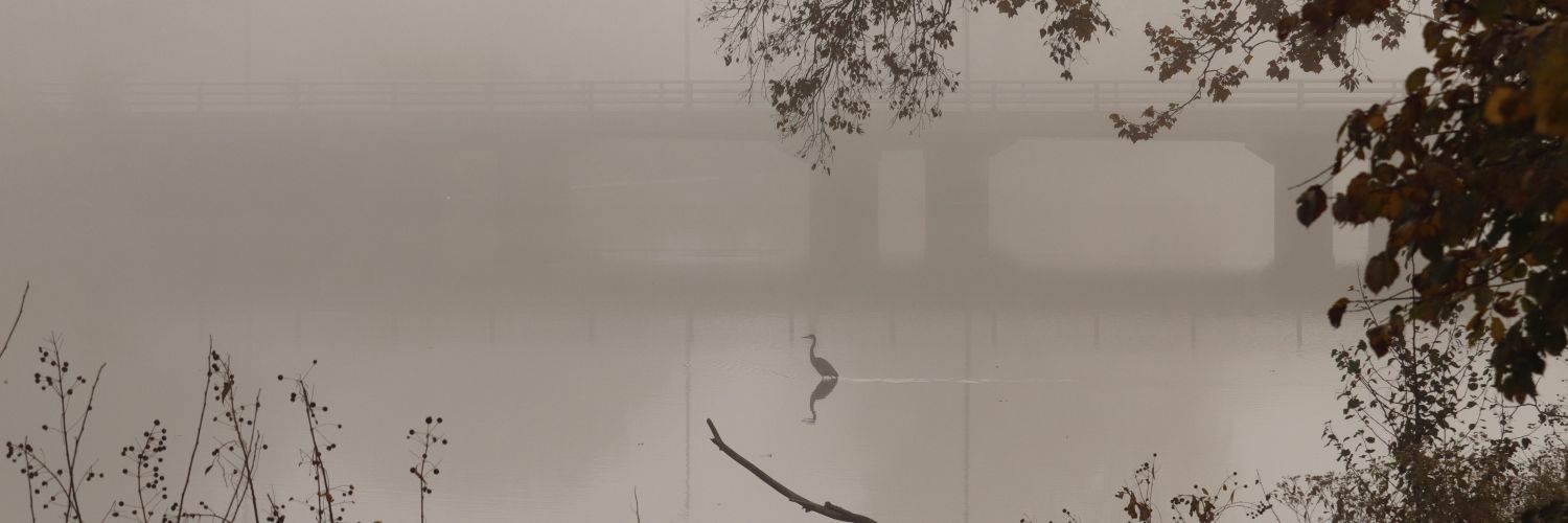 Michael Barrett banner