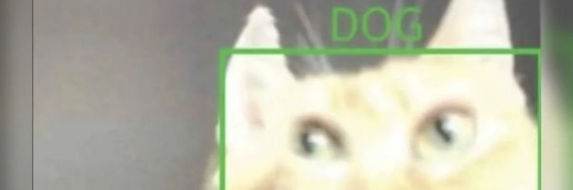 borbaty's profile banner image