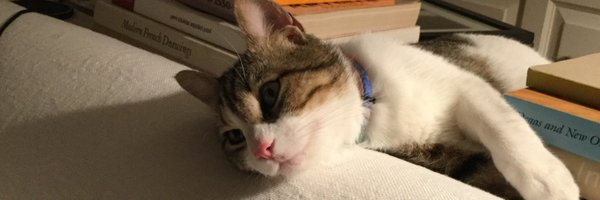 2015Kalamis Profile Banner