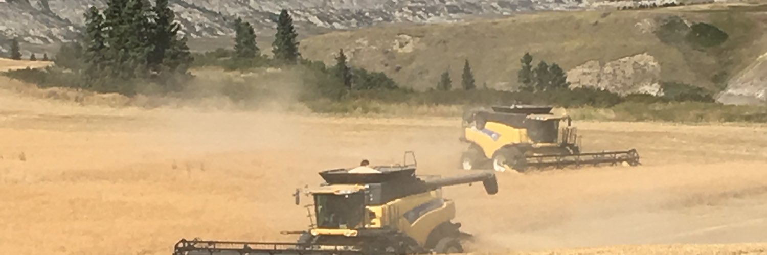 nelsonradnel's profile banner image