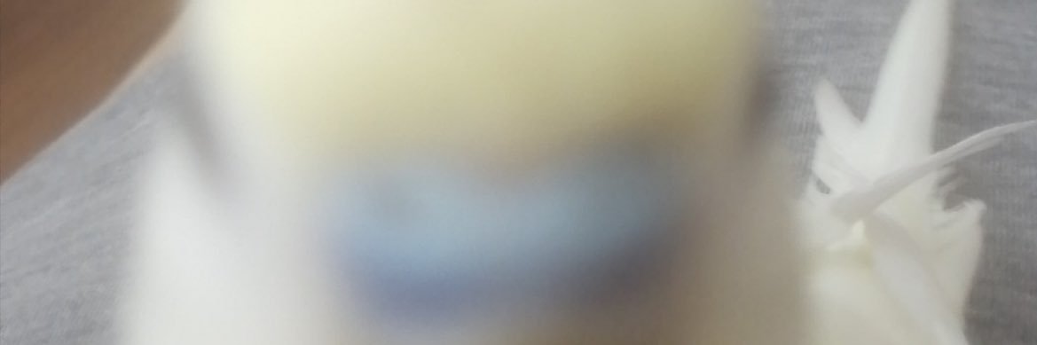 yohimbinn's profile banner image