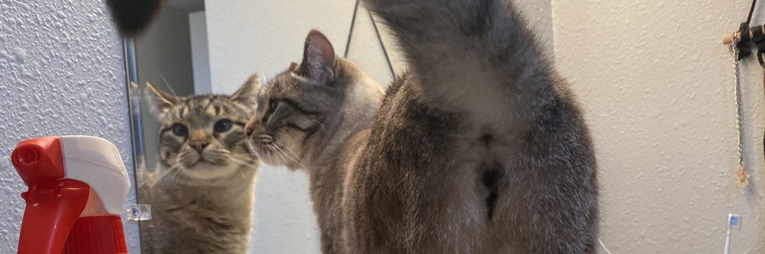 slutprivilege's profile banner image