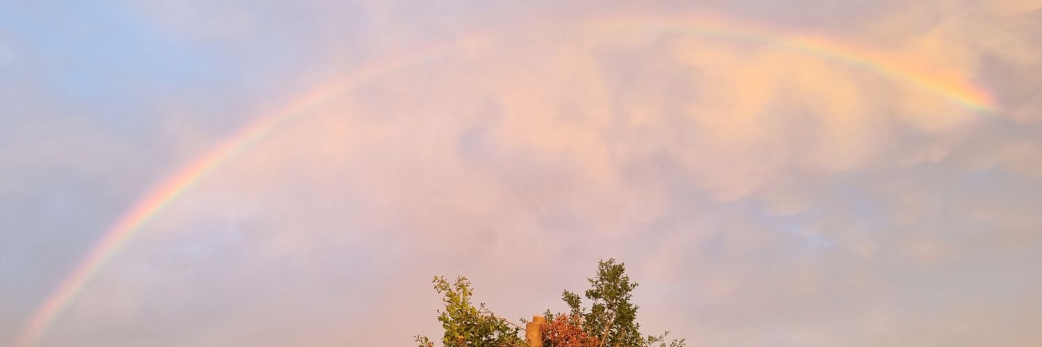 iCowDude's profile banner image