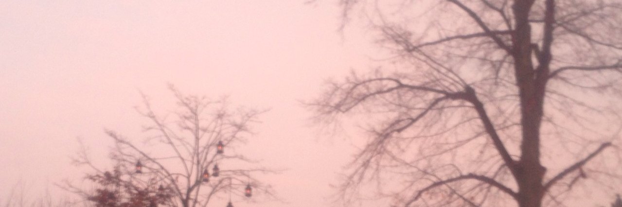murilo banner