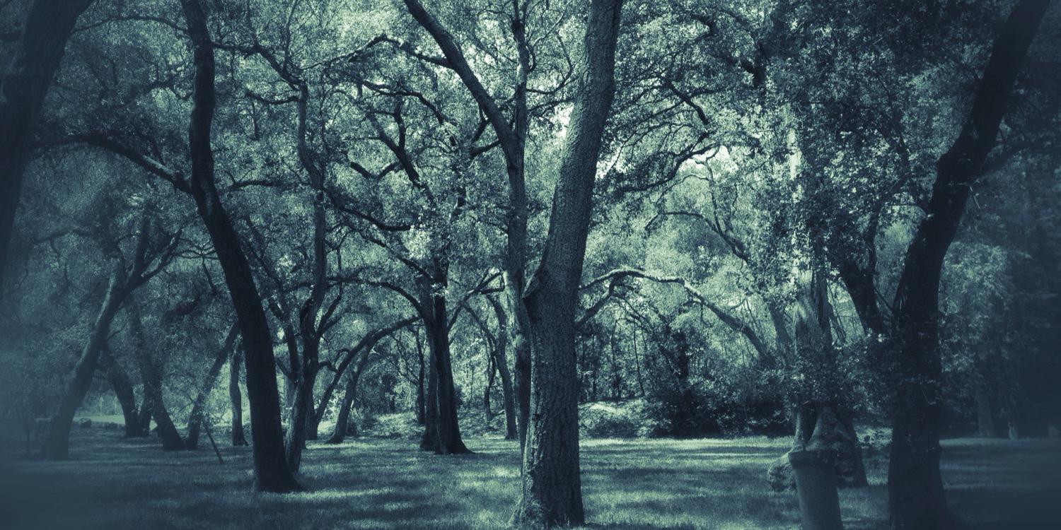 wendyclaypool's profile banner image