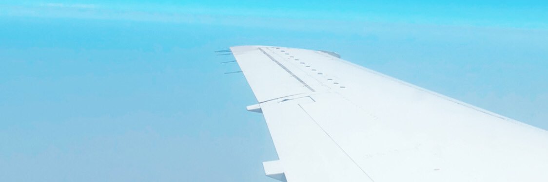 Tori d crazy pilot banner