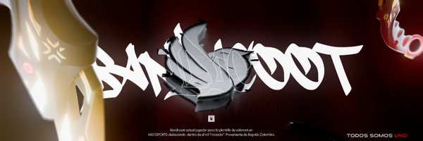 BandiCootFPS Profile Banner