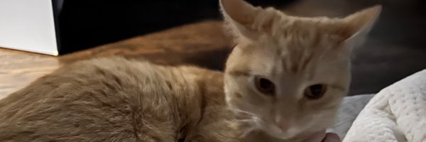 immrylee Profile Banner