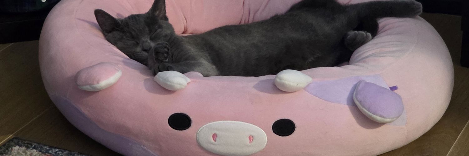 DaveyScreen's profile banner image